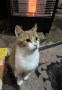 Spot (3)